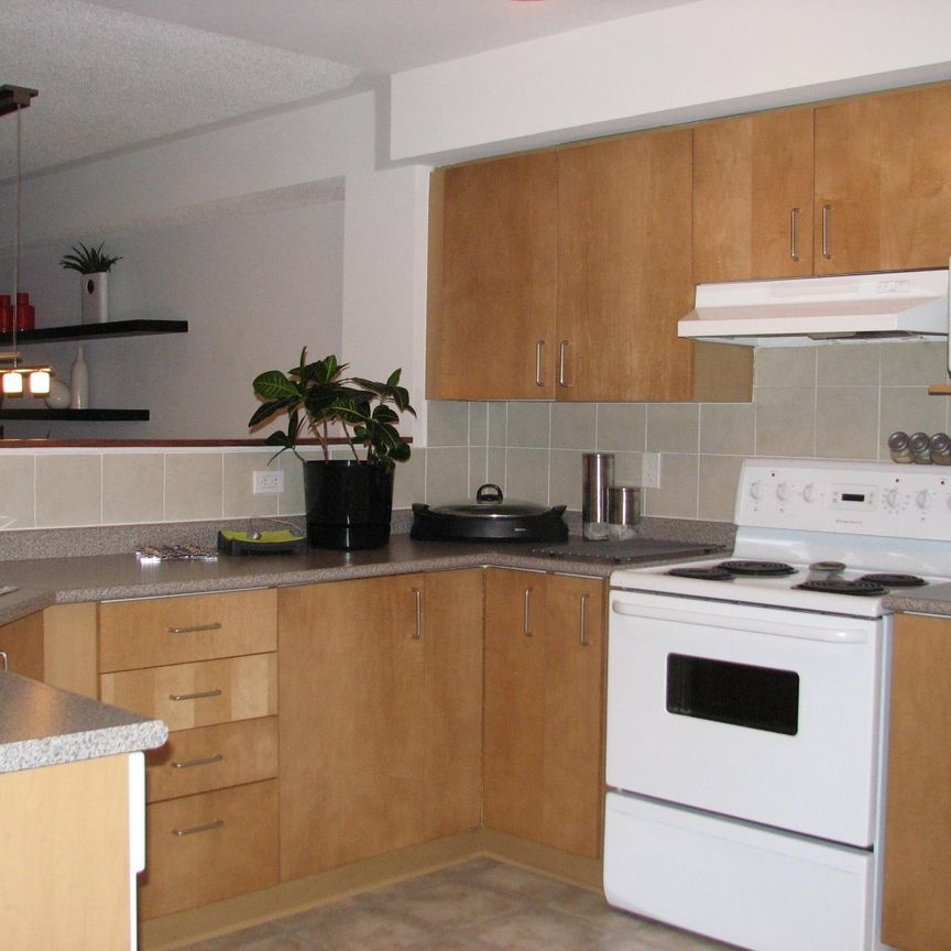 Beautiful Townhouse – Walking distance to CHEO & General Hos - Photo 1