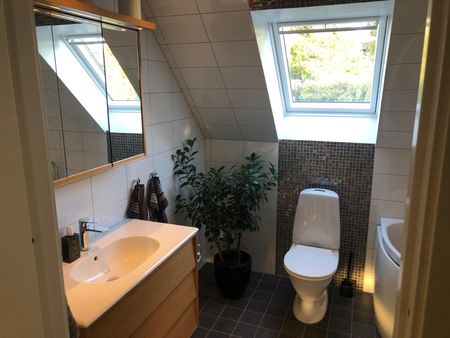 Lupinvägen, Löddeköpinge - Foto 5