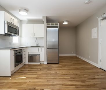 54 Maitland Street - Photo 4