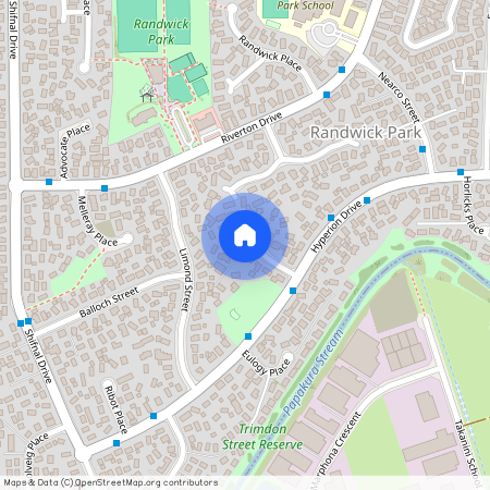 16 Goldnib Place, Randwick Park, Manukau City