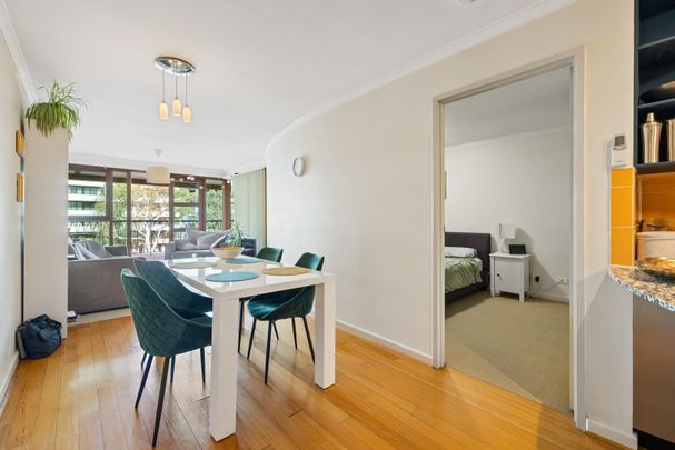50/18 Captain Cook Crescent, Griffith ACT 2603 - Apartment For Rent | Domain - Photo 1