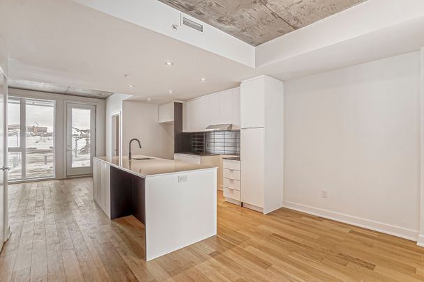 Condo for rent, Montréal (Rosemont/La Petite-Patrie) - Photo 1