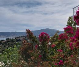 Μονοκατοικία για ενοικίαση - Μαρκόπουλο, - Photo 4