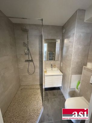 Beau 2 pièces meublé avec cave - Photo 1