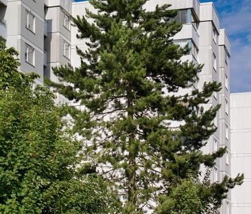 Angenehm wohnen mit Aufzug im Haus und großzügigem Grundriss - Photo 4