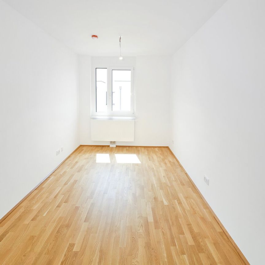 DER BALLON - Ankommen und abheben - NATURNAHES WOHNEN NAHE DER SEESTADT ASPERN - Foto 1