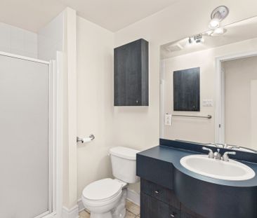 Appartement à louer, Montréal (Le Plateau-Mont-Royal) - Photo 2