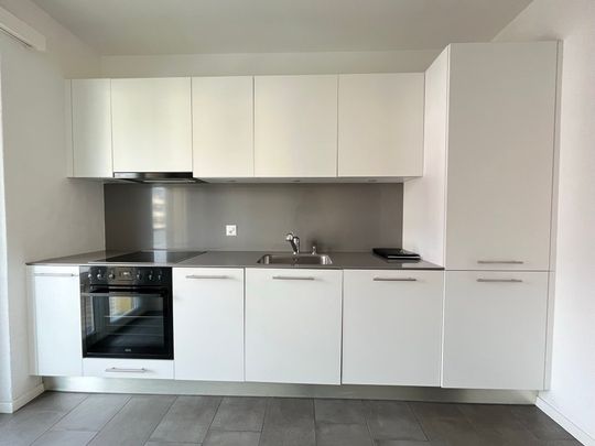 BELLINZONA, Zu vermieten renovierte 2½ Zimmerwohnung - Foto 1