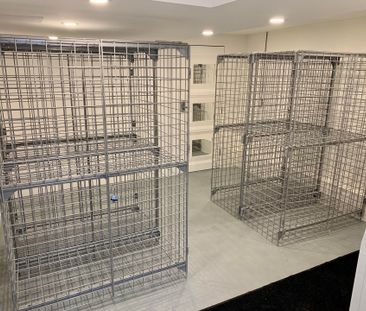 For Lease - 793 Pape Avenue Unit# 1, Toronto, Ontario - Photo 5