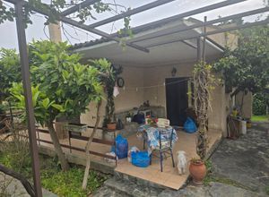 Κτίριο για ενοικίαση - Ωρωπός, - Photo 5
