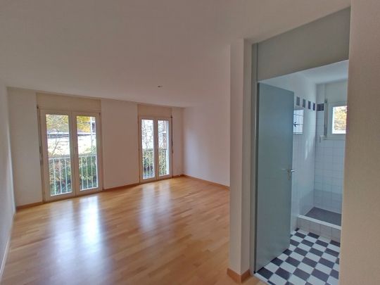 Wonderful duplex apartment is looking for you! - Photo 1