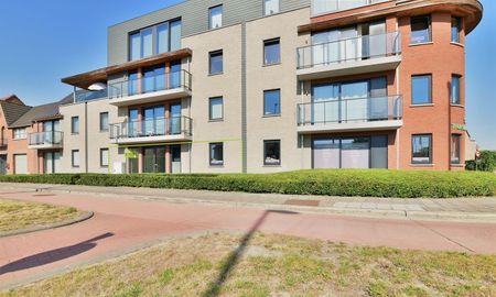 Gelijkvloers 1-slpk appartement te Dendermonde (Appels) - Photo 4