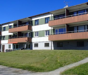 Falkens väg, Hällevadsholm - Photo 1