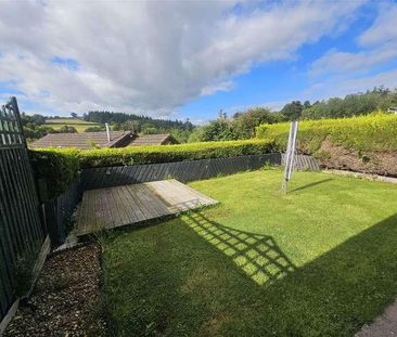 Daffodil Wood, Builth Wells, Powys, LD2 - Photo 1