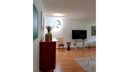3½ Zimmer-Wohnung in Schönenwerd (SO), möbliert - Photo 4
