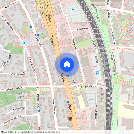 ul. Śląska, Działki Leśne, Gdynia, pomorskie