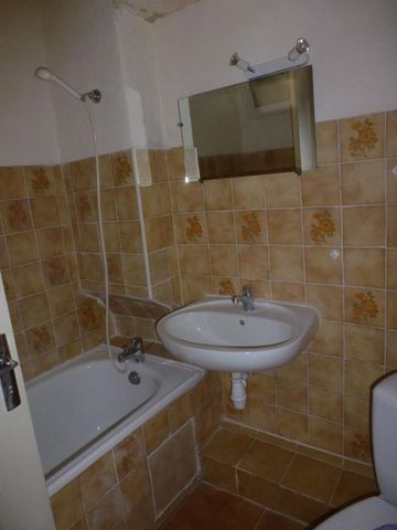 Location Appartement 1 pièce 26m² - Photo 4