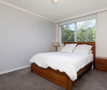 Spacious Living, Close to Hays Paddock - Photo 5