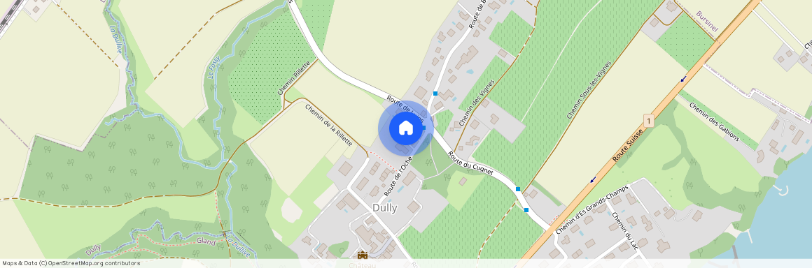 1195, Dully, Route de l'Oche, 21