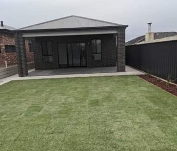 Modern Large Family Home for Contemporary Living! - Photo 3