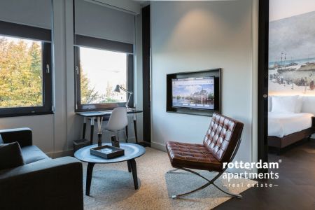 Stadhoudersplantsoen, Rotterdam - Foto 4