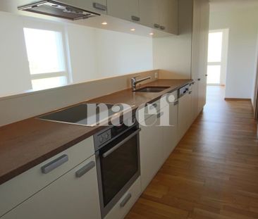 3.5 Zimmer, 89 m², 1. Stock - Photo 1