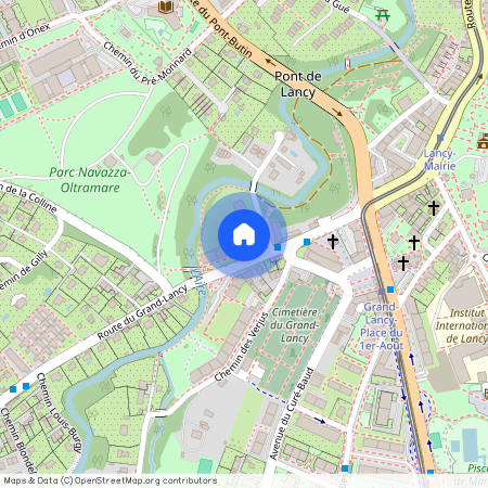 1212, Grand-Lancy, Route Du Grand-Lancy, 100