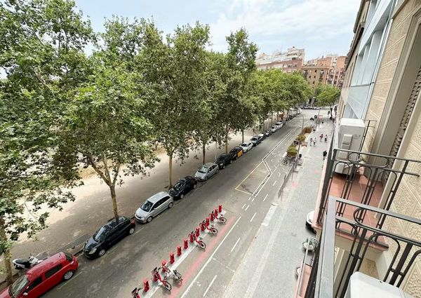 Carrer de Ribes, Barcelona, Catalonia 08013