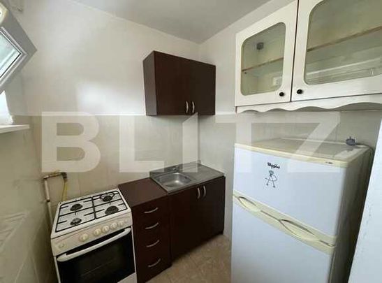 1 camera, Pet Friendly, semidecomandat, 25 mp, zona Iulius Mall - Photo 1