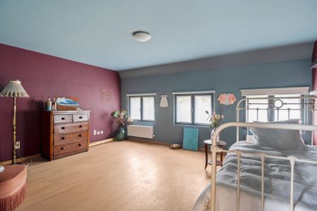 Prachtig herenhuis in Antwerpen centrum met 5 slaapkamers en verschillende buitenruimtes - Photo 4