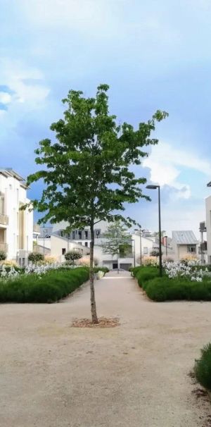 Appartement à louer 2 pièces 42.02m² - Photo 1