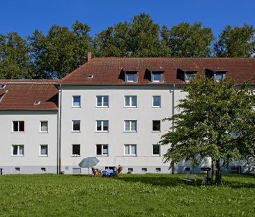 1-Zimmer-Wohnung in Gelsenkirchen Bulmke-Hüllen - Photo 1