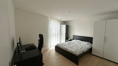 3½ Zimmer-Wohnung in Wetzikon (ZH), möbliert, auf Zeit - Foto 3