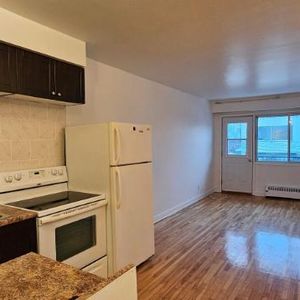 1 CH - 1 SDB - Montréal - $1,000 /mo - Photo 2