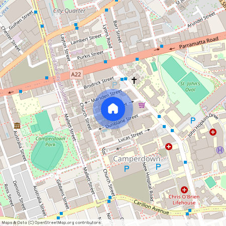 27 Briggs Street, Camperdown NSW 2050