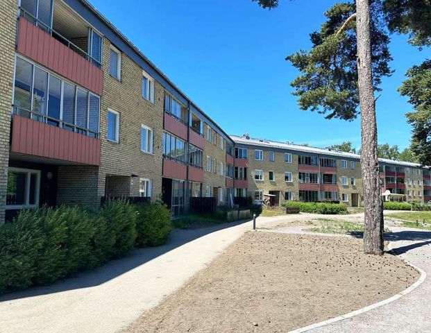 Edvardslundsgatan 3 A - Photo 1
