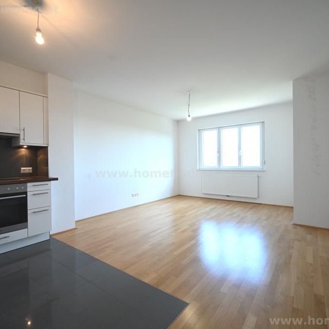 schöne 2 Zimmer am Rande des Hörndlwaldes - 5 Jahre befristet - Photo 1