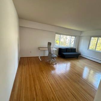 Extra large one bedroom hardwood renovated - Photo 1