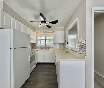 For Lease - 64 Bythia Street, Orangeville, Ontario - Photo 4