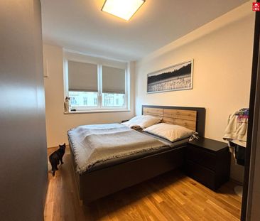 Wohn’ dich glücklich: Wunderschöne 3-Zimmer-Neubauwohnung in Ebelsb... - Foto 3