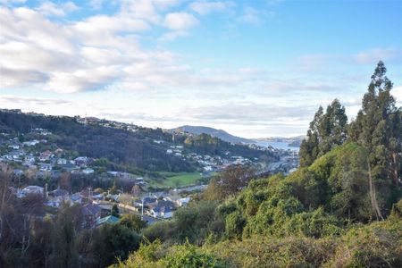 64 Waimea Avenue, Calton Hill, Dunedin - Photo 2