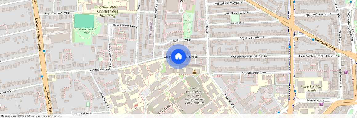 Geschwister-Scholl-Straße 153, 20251 Hamburg-Nord - Hamburg Eppendorf