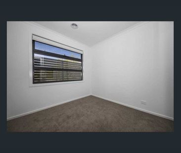 LOW MAINTENANCE - PERFECT LOCATION! - Photo 2