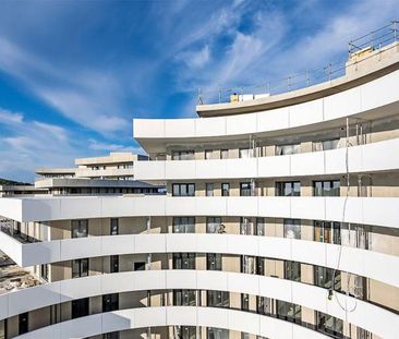 Location Appartement 2 pièces 34m² LE CAP D AGDE 34300 - Photo 5