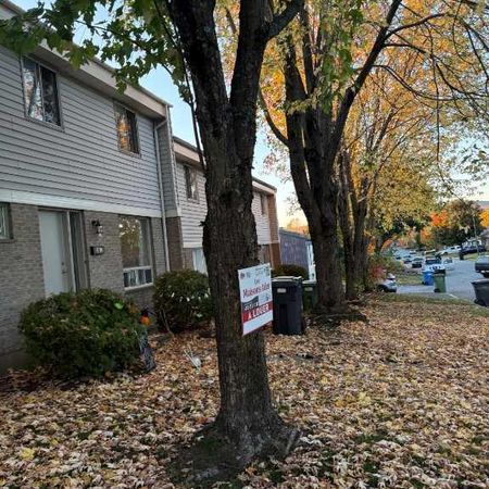 5 ET DEMI DISPONIBLE LE 1ER OCTOBRE 2025 - Photo 4