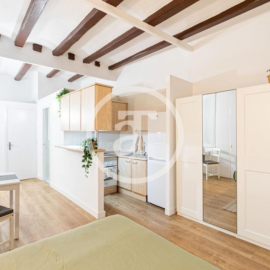 Estudio de alquiler en Carrer de Les Carretes, El Raval - Photo 1