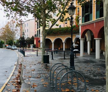 Carrara - Photo 6