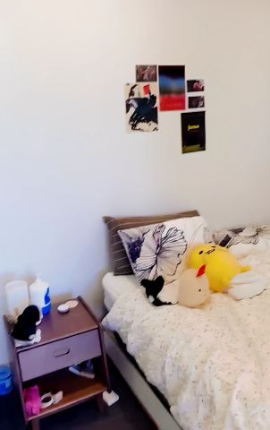 17 Glebe, Sydney - Photo 2