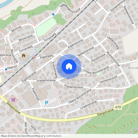 9220, Bischofszell, Untere Bisrütistrasse, 4