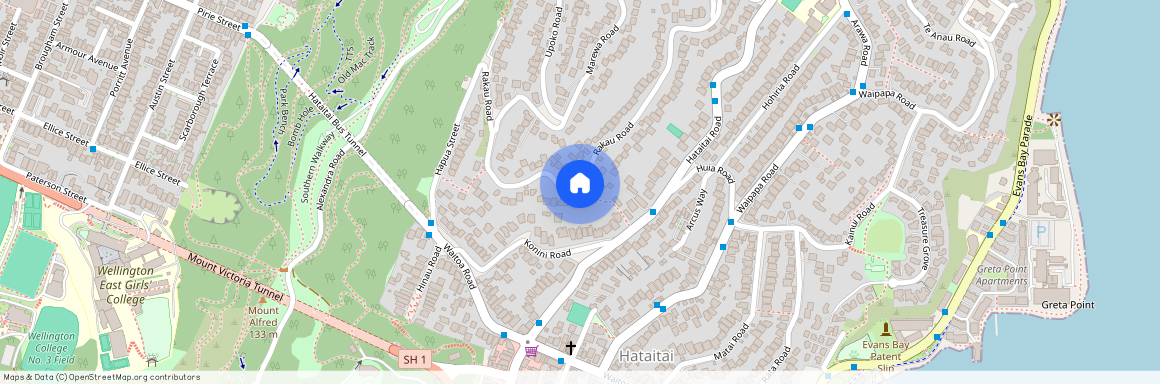 93T Rakau Road, Hataitai, Wellington